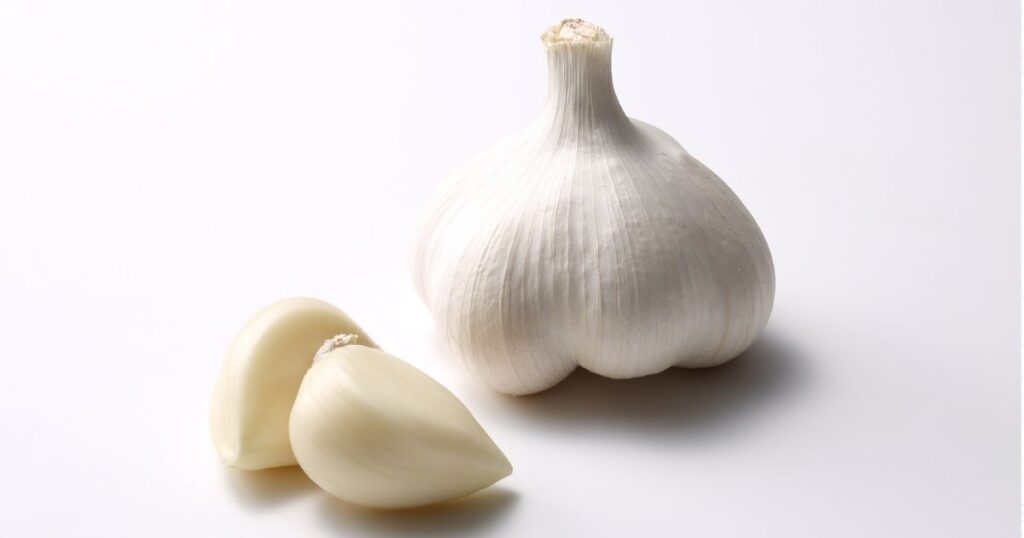 garlic